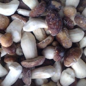 Wholesale canned foods: Frozen White Mushrooms