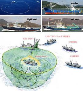 Wholesale Fishing: Setup for Fish Luring System
