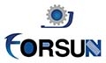 Jinan FORSUN CNC Machinery Co., Ltd. Company Logo