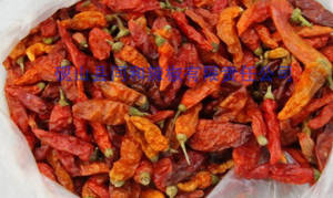 Wholesale hot chili: Hot Chilli