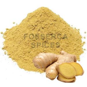 Wholesale high quality: Ginger Powder 100% Purity High Quality Origin Indonesia Fosserca Spices