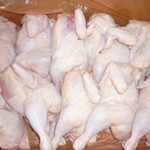Wholesale b: Frozen Whole Chicken Best Price