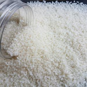 Wholesale Rice: Cheap Broken Rice African Market