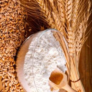 Wholesale Flour: Organic Wheat Flour / Rice Flour / Corn Flour / Durum Wheat Flour