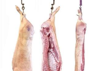 Wholesale mask box: Frozen Pork Meat / Pork Trimming 80 20 / Pork Loin with No Hair or Blood Stains