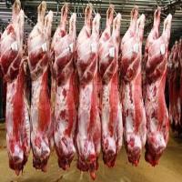 Healthy Quality Frozen Beef Sirloin Wholesale Price Halal Beef Sirloin Top Quality Wholesale Price