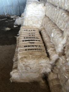 Wholesale bales: Sisal Fiber Ug Grade for Gypsum