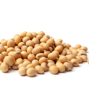 Wholesale acid: Soybean GMO