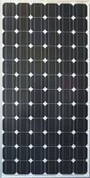 Mono Crystalline Solar Panel/Module