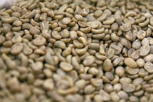 Wholesale arabica coffee beans: Arabica Coffee Bean