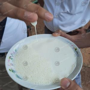 Wholesale plastic cup: Milky Latex Low Ammonia 60% DRC