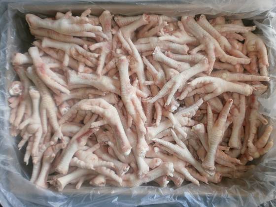 Sell Grade A Frozen Chicken Feet and Paws(id:24000595) - EC21