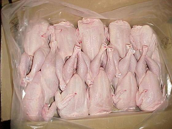 Sell Halal Certified Whole Frozen Chicken for Export