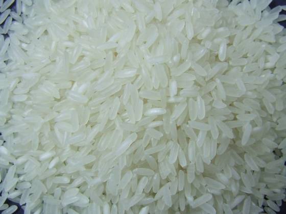 Sell Thailand Perfumed white Jasmine rice