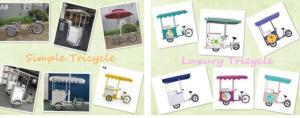 Wholesale ice cream power: Solar Freezer with Ice Cream Freezer for 12v DC 24v DC Power Solar Fridge Bike and Tricycle