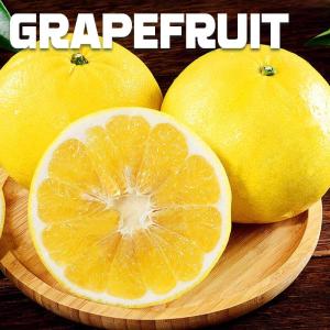 Wholesale fresh fruits: Hainan Fresh Fruit Pregnant Women Fruit in Season Grapefruit Red Meat Grapefruit