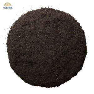 Wholesale bag: Black Tea Fanning F1 High Quality and Low Price From Fulmex Vietnam 2023 Making Tea Bags