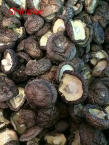 Wholesale Dried Mushrooms: Dried Shiitake