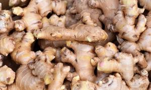 Wholesale Agricultural Product Stock: Ginger