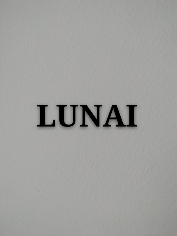 Lunai Digital Co.LTD Company Logo