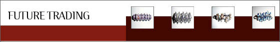 Mirae Fashion Co.
