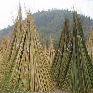 Fern Fence,Heather Fence,Brushwood Fence,Bamboo Flower Sticks,Bamboo ...