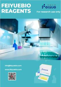 Wholesale z: Human PGE2(Prostaglandin E2) ELISA Kit
