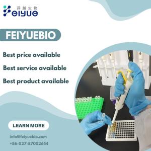 Wholesale quality standard: Feiyuebio Achieved the ISO Certificate