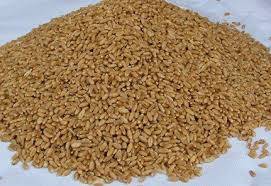 Wholesale Cool Storage: Wheat Meal