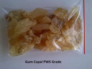 Wholesale Agricultural Product Stock: Gum Copal