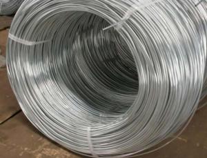 Wholesale flower packaging: Electro Galvanized Iron Wire