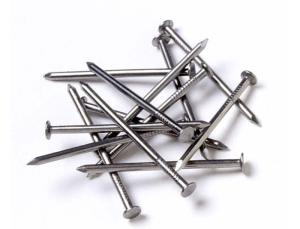 Wholesale galvanized nails: Common Round Nail