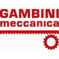 Gambini Meccanica Srl  Company Logo