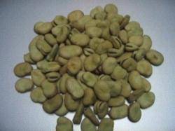 Wholesale broad beans: Yunan Broad Beans