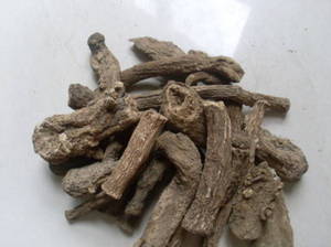Wholesale insect free: Costus Root