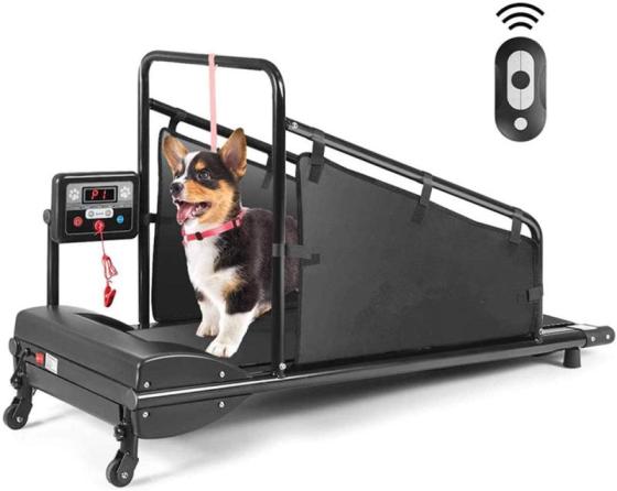 Goplus Dog Treadmill, PET Running Machine for Small/Medium-Sized Dogs ...