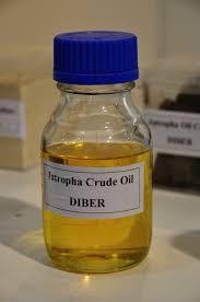 Wholesale biomass energy: Pure Crude Jatropha Oil