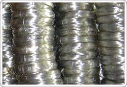 Wholesale u type iron wire: Electro Galvanized Iron Wire