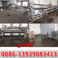 Hot Selling Automatic Chicken Feet Processing Equipment 