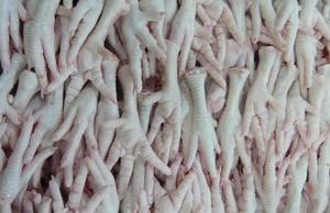Wholesale Meat & Poultry: Chicken Paws.