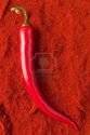 Wholesale chilli: Indian RED CHILLI WHOLE DRY