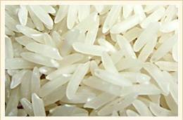 Wholesale non basmati rice: Indian BASMATI RICE Long Grain