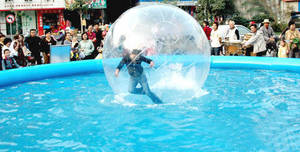 Wholesale water ball pool: Water Walking Ball,Water Walker,Water Ball