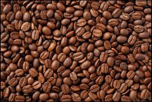 Wholesale coffee beans: Rubuster Coffee