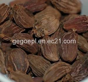 Wholesale p cymene: Large Cardamom