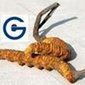 Gego Enterprises Pvt. Ltd Company Logo