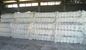 Wholesale sisal rope: Natural Gypsum Sisal Fibre, Ug Sisal Grade A