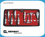 Gemmy Instruments Company Logo