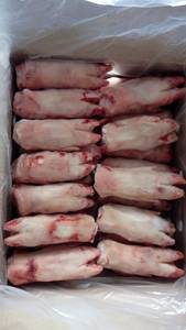 Wholesale frozen pork front: Frozen Pork Front Feet, Hind Feet