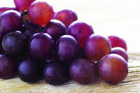 Sell Grape Seed extract